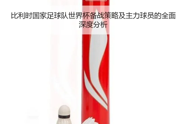 比利时国家足球队世界杯备战策略及主力球员的全面深度分析（LD SPORTS）